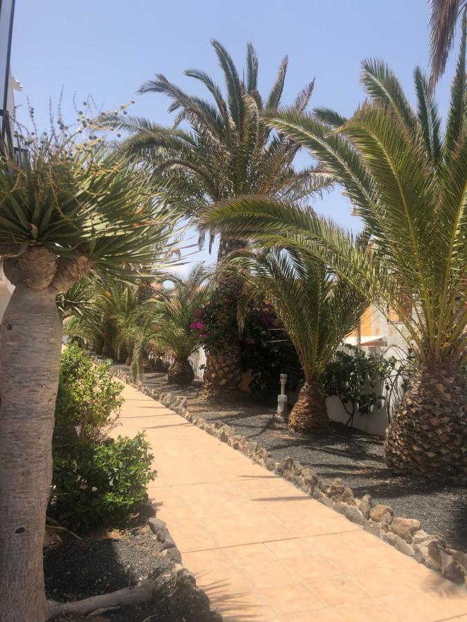 Apartamento Smile Complex Amaya Fuerteventura Costa De Antigua Kültér fotó